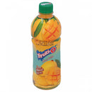 Fruiti_O Mango Nectar Chaunsa Mango Pulp 500ml - HKarim Buksh